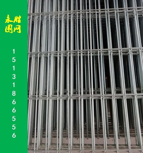 信鸽笼晒棚围网镀锌网片 河北永胜丝网制品厂的品质之选